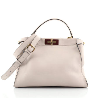 Fendi Peekaboo Bag Rigid Leather Regular