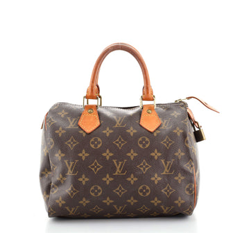 Louis Vuitton Speedy Handbag Monogram Canvas 25