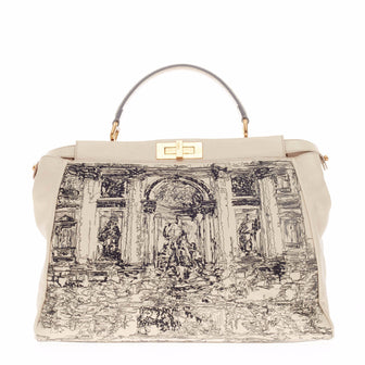 Fendi Limited Edition Peekaboo Embroidered Leather with Python Trim