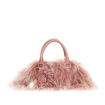 Fendi Frame Doctor Bag Fur and Selleria Leather