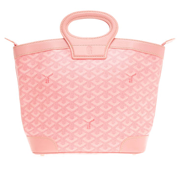 Goyard Beluga Canvas PM