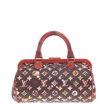 Louis Vuitton Frame Papillon Limited Edition Aquarelle Monogram Canvas -